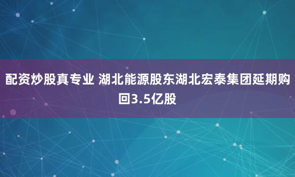 配资炒股真专业 湖北能源股东湖北宏泰集团延期购回3.5亿股