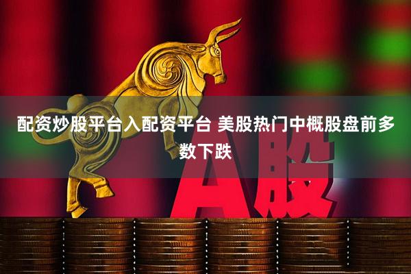 配资炒股平台入配资平台 美股热门中概股盘前多数下跌